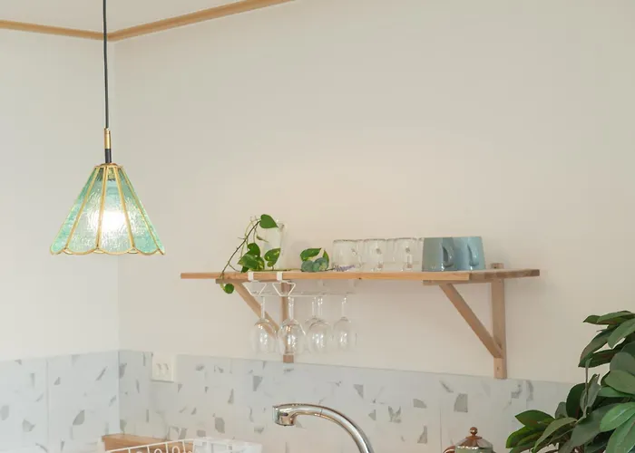 리하홈 Riha